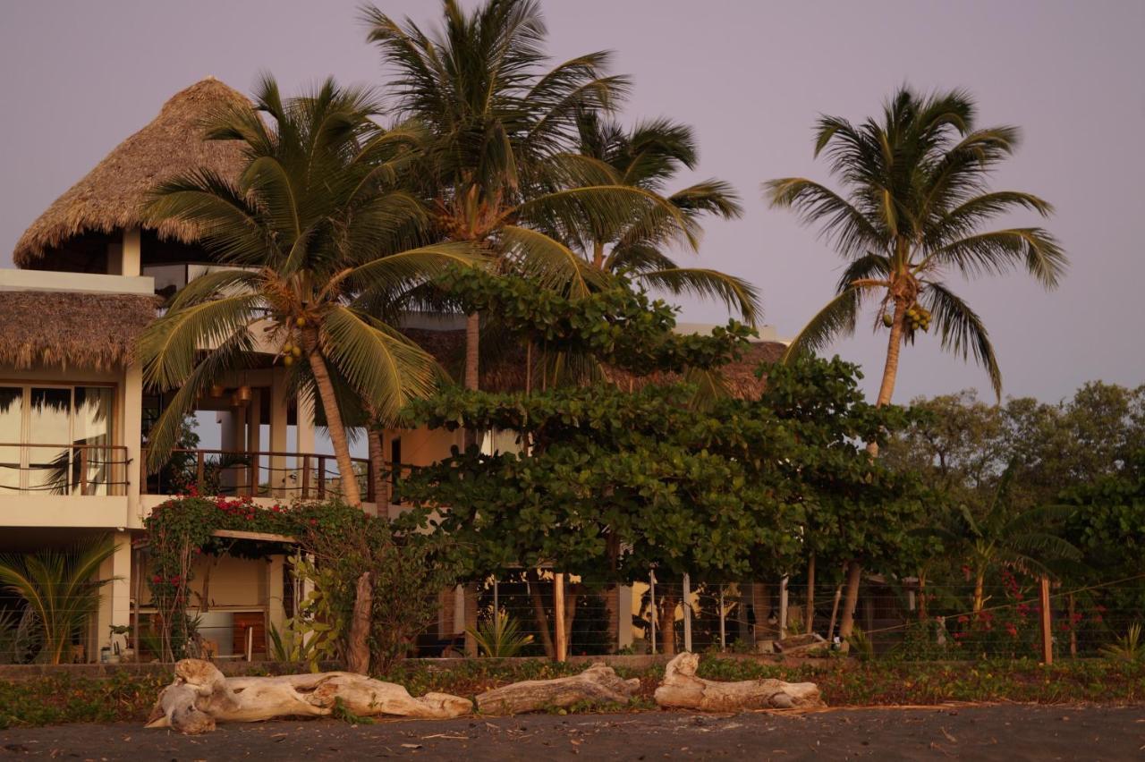 Alive Beach House Transito Eksteriør billede